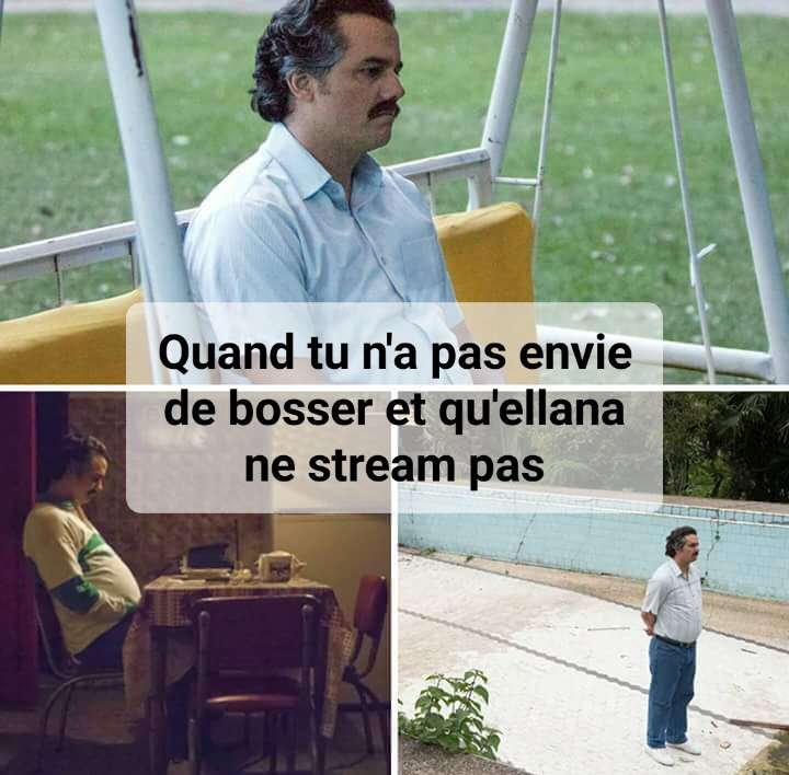 EllanaTV ☀️ tweet media