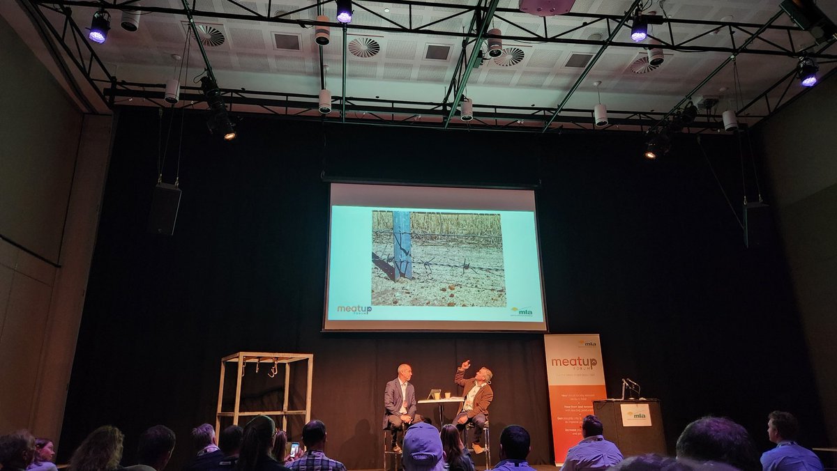 The simplest ideas are the best, and Western Australians are great innovators. Here, a bottom iowa barb is the solution to fence wrecking dorpers. Meatup WA