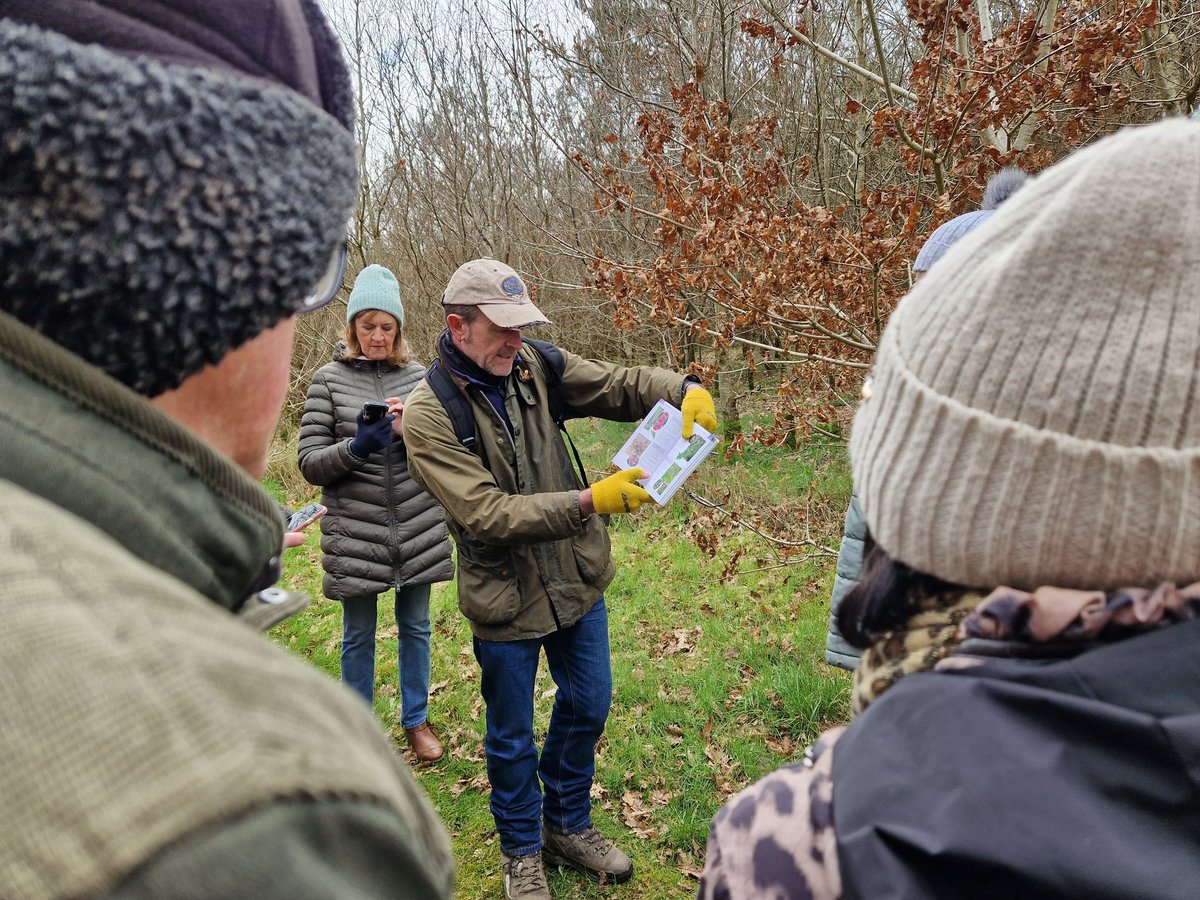 BOMaoileoin's tweet photo. From courting grebes, buzzards being mobbed, reed buntings playing hide and seek to the signs of #Spring evident in our wild flowers and budding trees, we had a good day out over the weekend with the Monaghan Branch of the @Irishwildlife at Ballybay Wetlands. https://t.co/FL4LC5Jr16