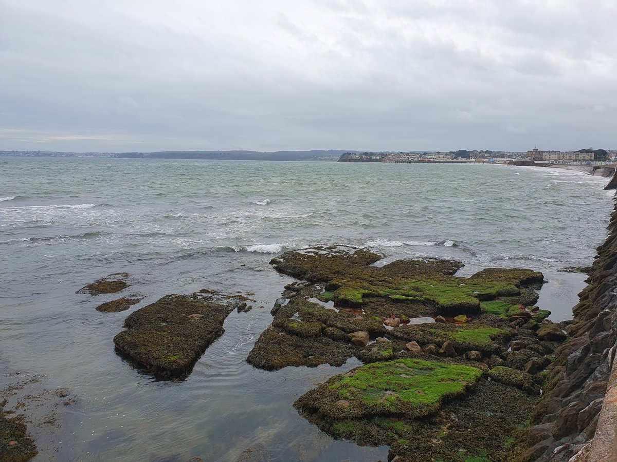 ClivePoole's tweet photo. A gorgeous start to the day with a gentle trot along the @swcoastpath between Goodrington & Torquay. ๐ฅฐ๐โโ๏ธ @UKRunChat #ukrunchat #swcoastalpath #Devon #holiday #Staycation https://t.co/bnmafdo8bL