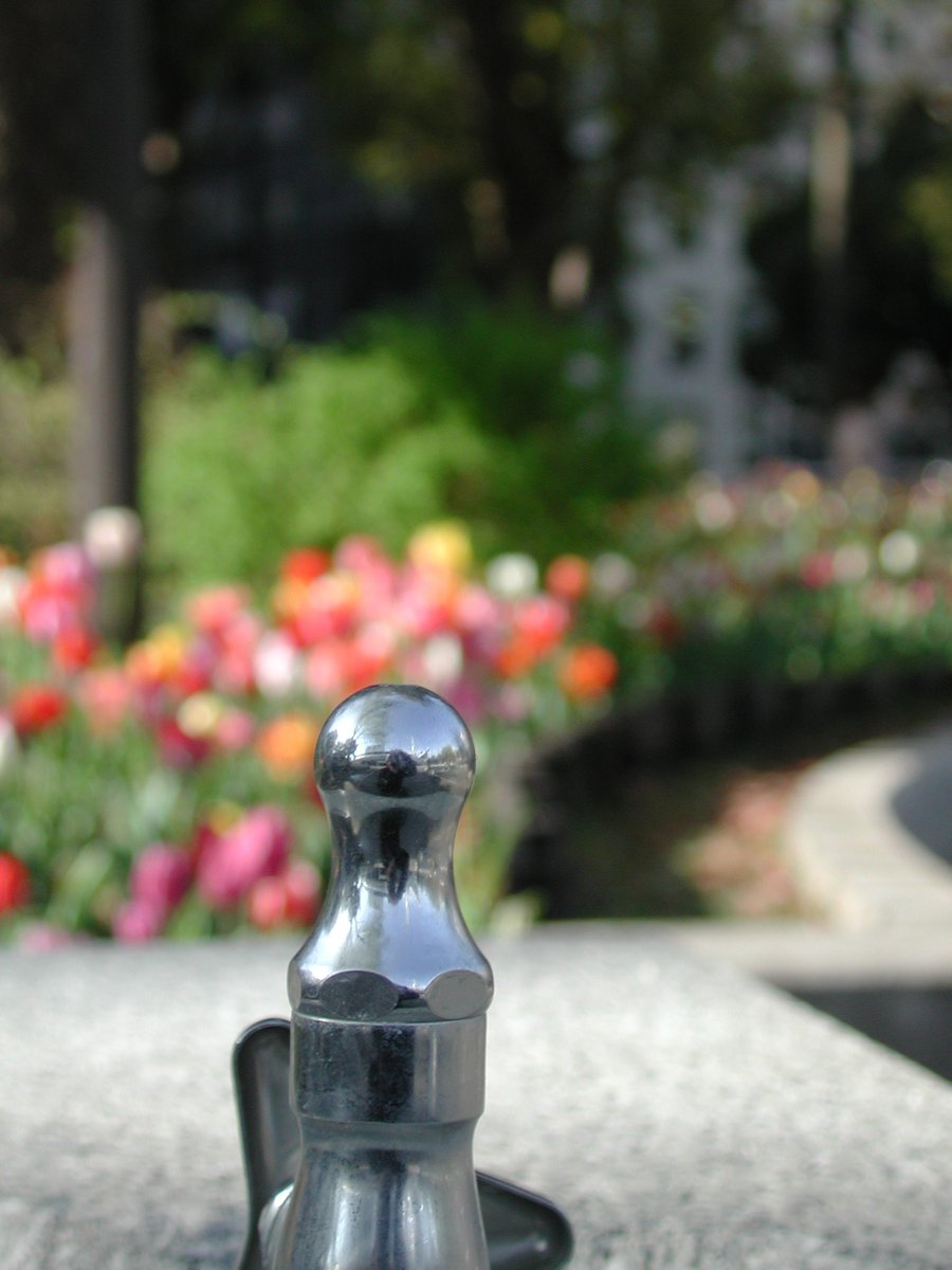 Couichi05S's tweet image. 天気が回復したので、オールドコンデジ持って撮影へ

#coolpix990 
#ccdsensor 
#ccdセンサー
#チューリップ
#ヨコハマヒザクラ