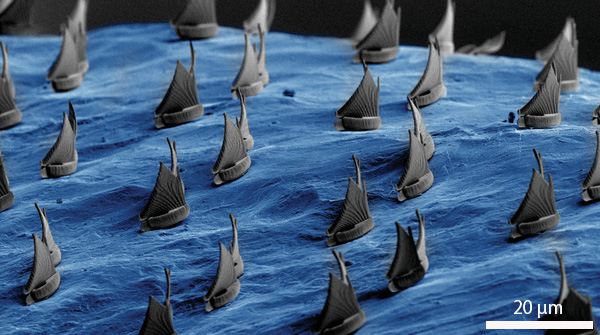 Advanced Portfolio News (@advportfolio) on Twitter photo This work extends 3D microprinting via two-photon polymerization from planar substrates to complex, arbitrary surfaces.
Look at this 👇 beautiful example of what it can make 🤩
<a href="/VMattoli/">Virgilio Mattoli</a> <a href="/PatrizioRaffa/">Patrizio Raffa</a> <a href="/frankhoed/">Frank den Hoed</a> <a href="/Andrea8maniello/">Andrea Ottomaniello</a>
Find out more: ow.ly/lfca50NtsTZ This work extends 3D microprinting via two-photon polymerization from planar substrates to complex, arbitrary surfaces.
Look at this 👇 beautiful example of what it can make 🤩
<a href="/VMattoli/">Virgilio Mattoli</a> <a href="/PatrizioRaffa/">Patrizio Raffa</a> <a href="/frankhoed/">Frank den Hoed</a> <a href="/Andrea8maniello/">Andrea Ottomaniello</a>
Find out more: ow.ly/lfca50NtsTZ