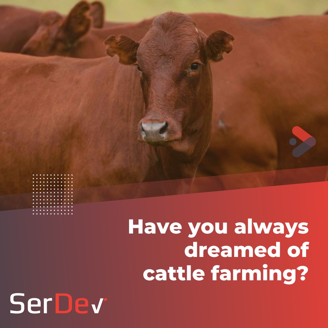 SerDev7's tweet photo. 🤝 SerDev is committed to supporting farmers and aspiring farmers every step of the way. That is why we have numerous FREE training resources available on our website. Don't miss out, check them out here: https://t.co/Zj3au2NBao
#SerDev #FarmerSupport #FreeTraining https://t.co/0fe8om6Eeu