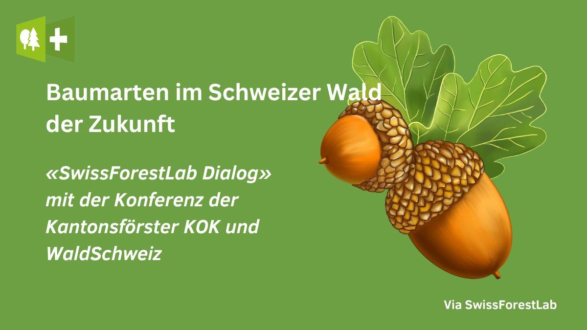WaldSchweiz's tweet photo. Alle Informationen hier: https://t.co/R9XSG5IE6z
Datum: 29. Juni 2023, 09:00 - 18:00
Ort: ETH Zürich @ETH 
Organisator/in: @SwissForestLab Konferenz der Kantonsförster, @WaldSchweiz unterstützt von @WSL_research 
.
.
@pronaturach 
@bafuCH 
#Klima #wald #baum #schweiz https://t.co/LqRbNpsTRn