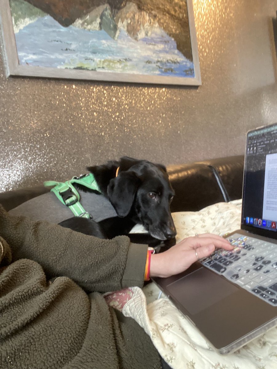 Prof Tara Spires-Jones tweet media