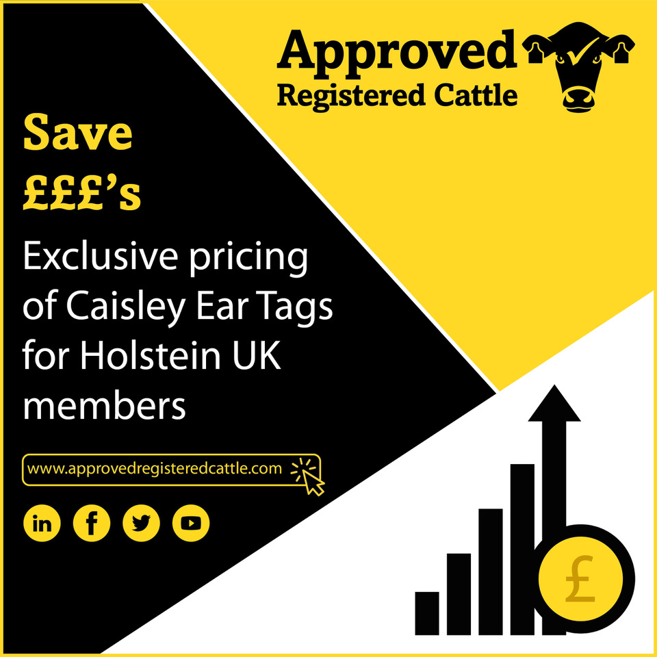 Holstein members have access to exclusive savings on Caisley tags through ARC.  Find out more by visiting approvedregisteredcattle.com or call us on 0345 8734210