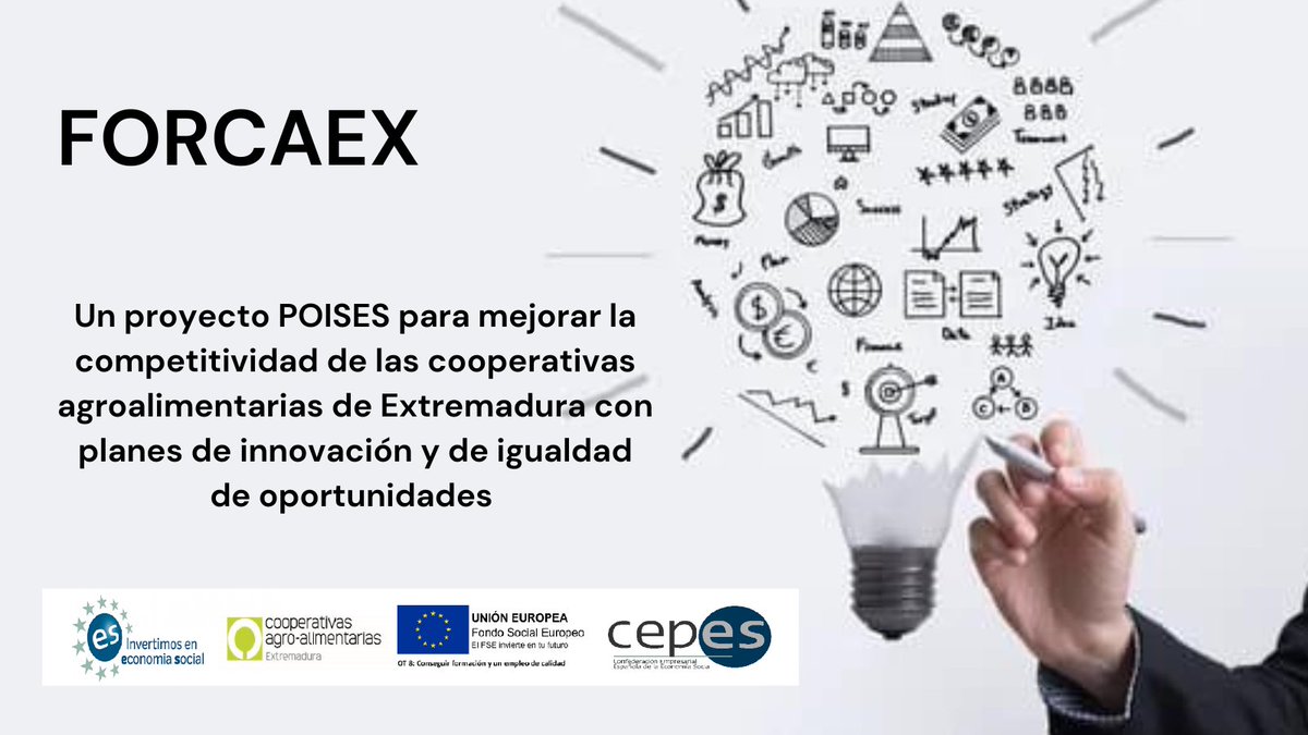 CooperativasExt's tweet photo. 💪El proyecto #FORCAEX de @CooperativasExt mejora la competitividad de las cooperativas agroalimentarias extremeñas con planes de innovación y de igualdad de oportunidades
🟢Junto a @CEPES2 y Fondo Social Europeo
#POISES #POISESCEPESFSE #CEPESFSE
https://t.co/HnGgFc2ONL https://t.co/JRijOCAgnp