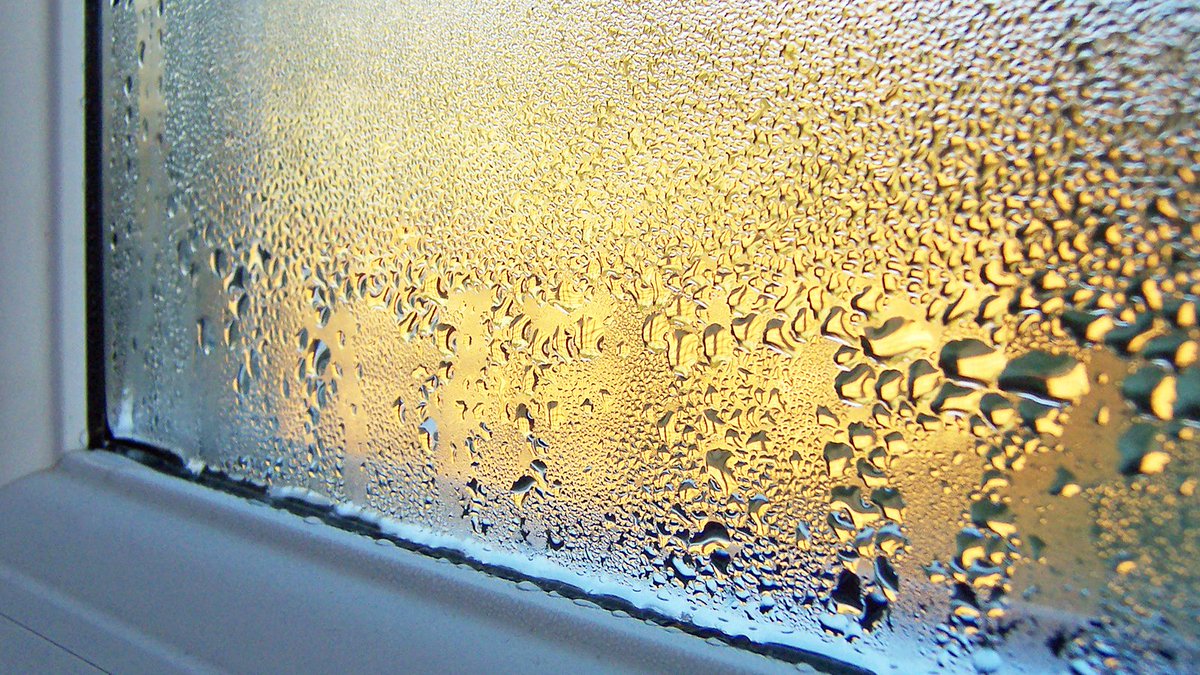 Foråret er på vej, men det er stadig koldt udenfor🥶 Vi oplever desværre flere fugtskader og skimmelsvamp hos medlemmer, fordi mange sparer lidt for meget på varmen - og glemmer at lufte ud! Det kan både blive dyrt og gøre dig syg. Se gode råd her👇lb.dk/undgaa-skader/…