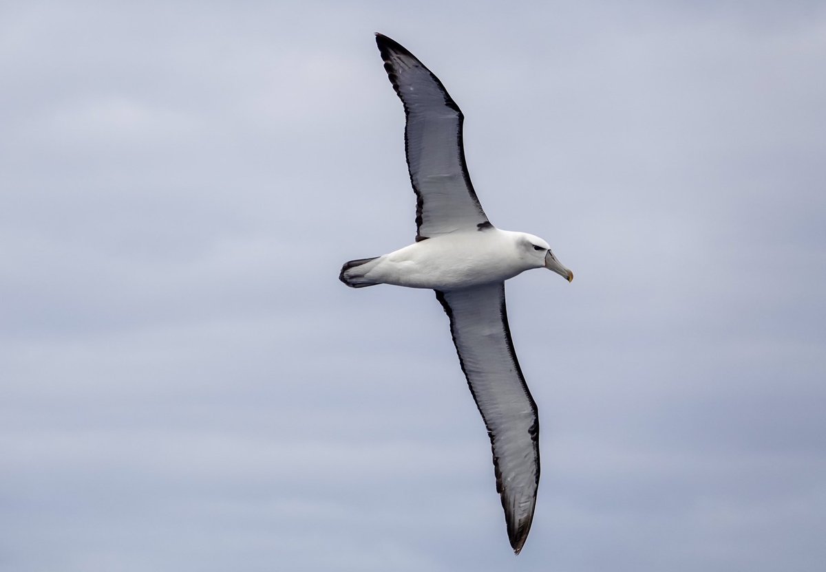 Daniel Weldon tweet media