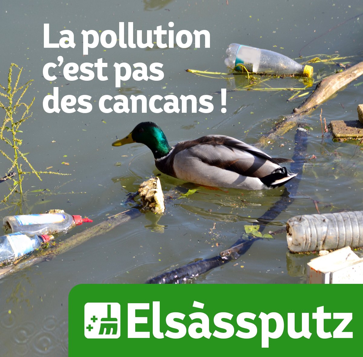 F_Bierry's tweet photo. 🦆[ELSÀSSPUTZ] J-3 ! Rendez-vous vendredi 31 mars, samedi 1er et dimanche 2 avril pour notre grand nettoyage de #printemps partout en #Alsace ! 
3, 2, 1, #Elsàssputz ! #Osterputz
👉https://t.co/8Ex2Kw2f5T
#déchets #nature #environnement #citoyenneté #biodiversité @ADepartementsF https://t.co/5Oc0UCASgR
