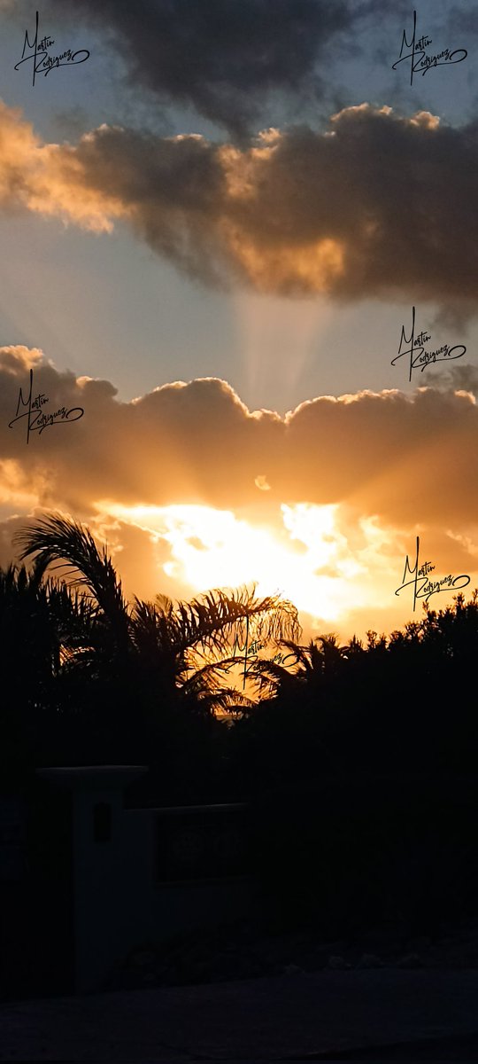 chef_martinr's tweet photo. Cuando la vida es dulce, da gracias y sonríe.
Cuando la vida es amarga, da gracias y creé.
.
#live #hapy #agradecer #dios #sonreir #creer
#chefmartinrodriguez
#SinFiltros https://t.co/bX4ka7pgSH