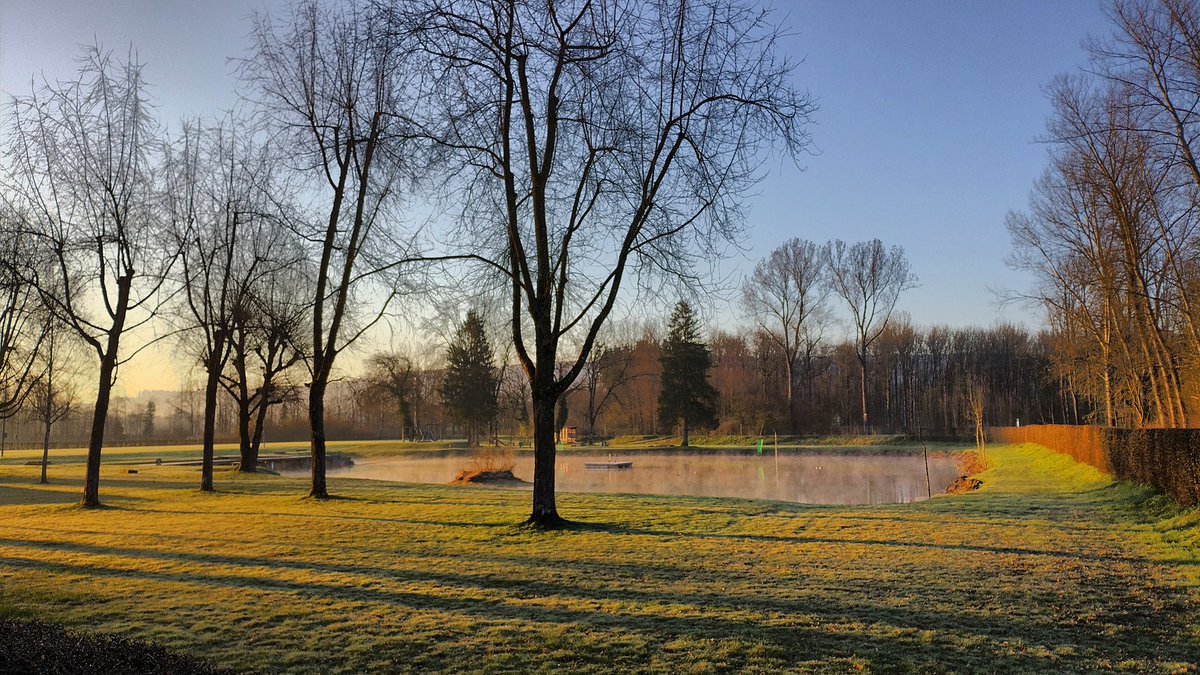 joe_stalder's tweet photo. Viel Morgengold heute kurz vor 8 im Frankrichli #Pfyn https://t.co/lmRm2Ey2HX
