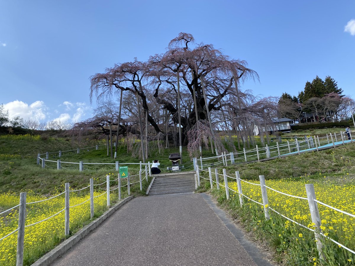 19chevy60 tweet media