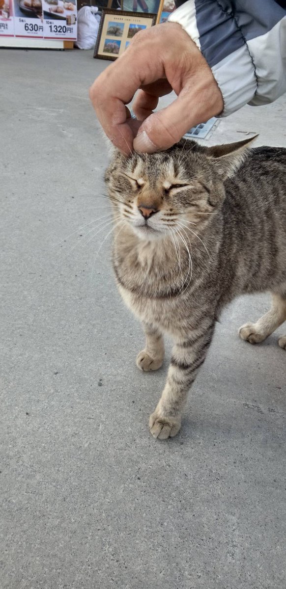 19chevy60 tweet media