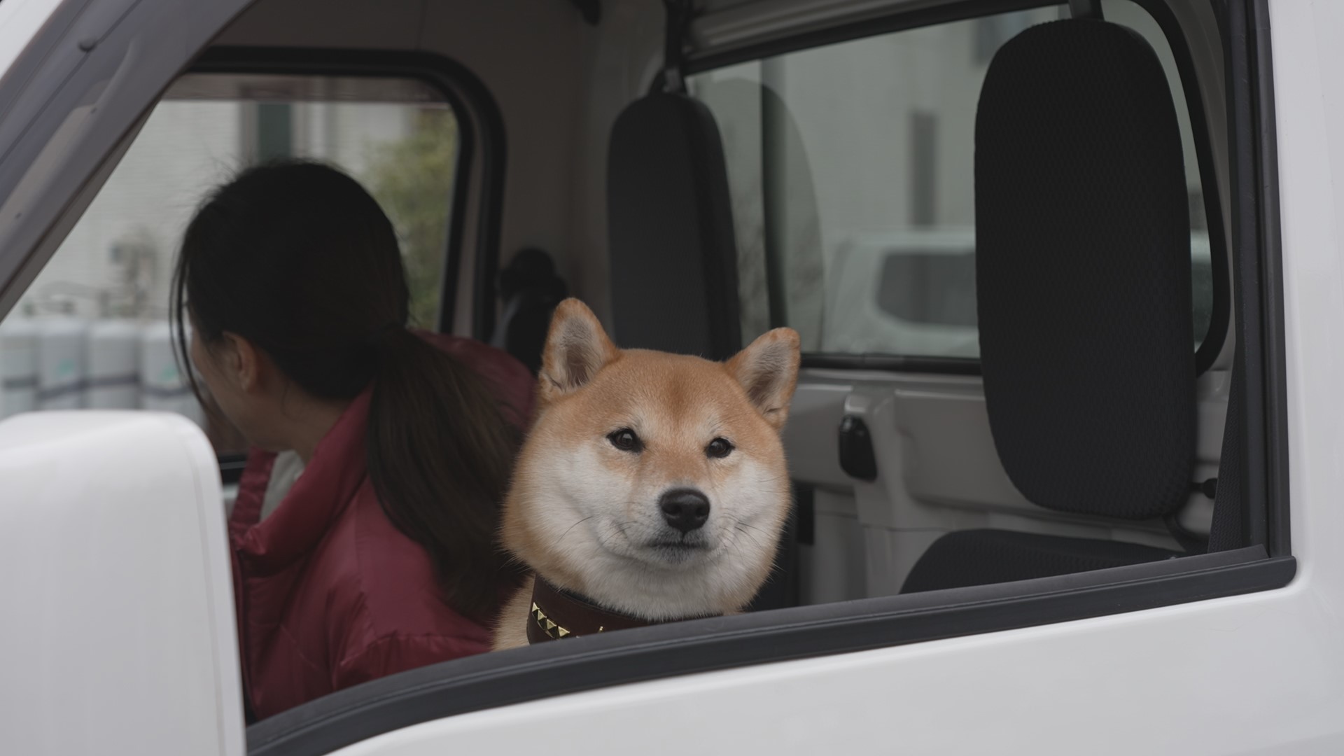 フジテレビ على X: 