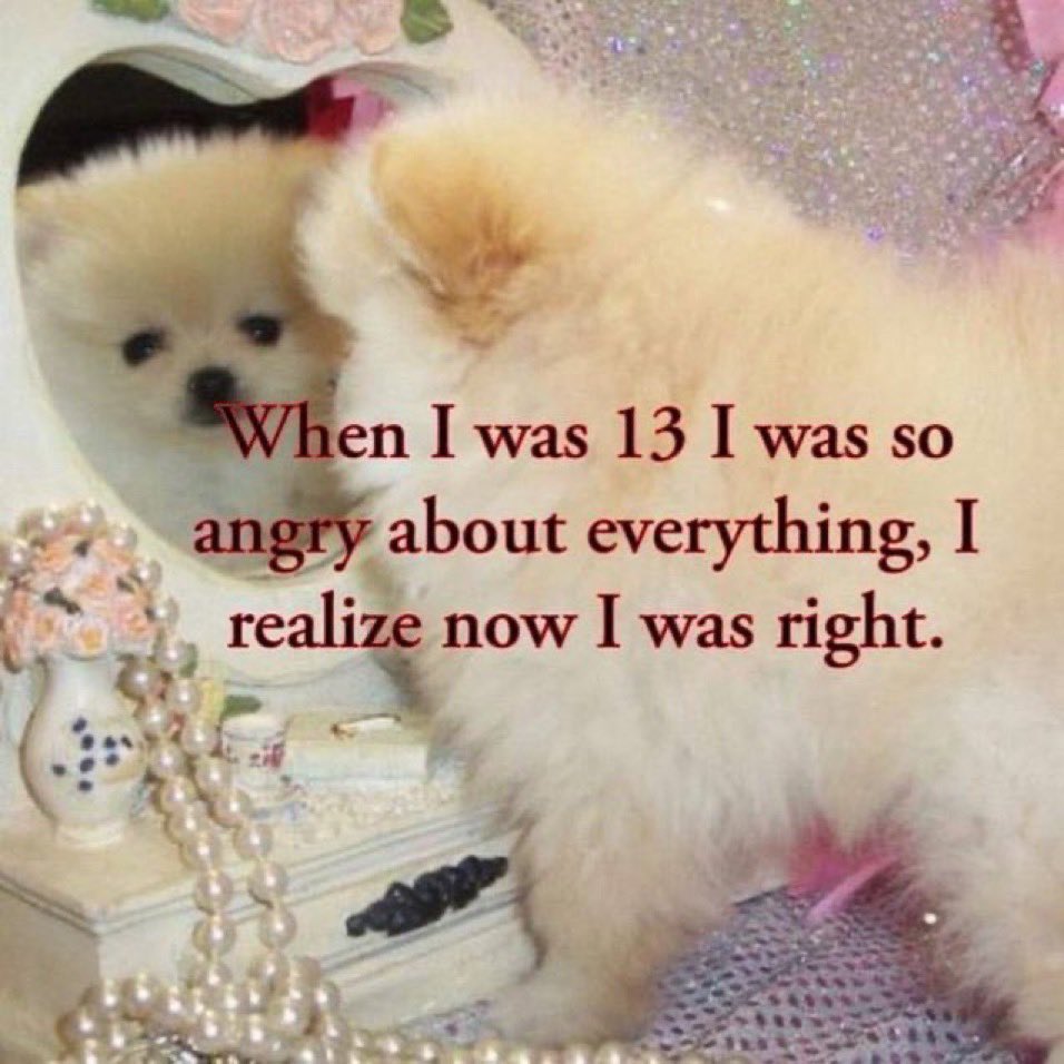 The Notorious J.O.V. (@whotfisjovana) on Twitter photo 