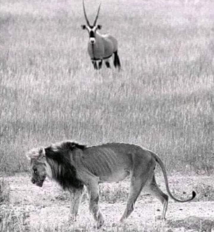 rkabushenga tweet picture