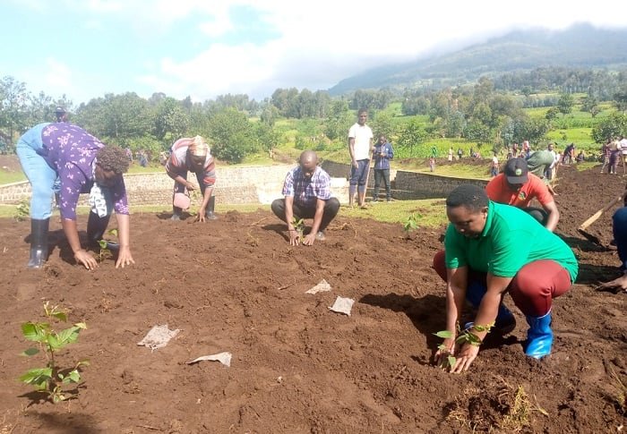 EnviroRwanda's tweet photo. Mukarere ka @BureraDistrict , Ibiti bateye byitezweho kugabanya ubukana bw’#amazi aturuka mu #birunga
Kanda➡️https://t.co/3AHR7seJVQ
#REJ https://t.co/rZv9dVrF1u