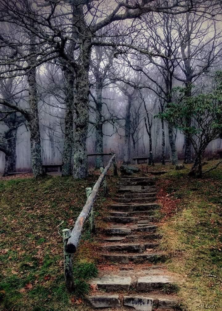 NATURALEZA (@naturalezav3) on Twitter photo 