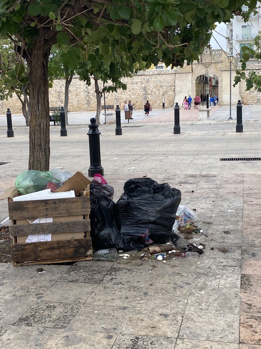jm_pp's tweet photo. @CampecheTravel Muy bien x la publicidad q se le da a nuestras tradiciones y costumbres gastronómicas y demás pero, un campechano de Sn. Román d regreso a Camp después de años fuera, les pide a las autoridades q mantengan el C. Histórico LIMPIO !!! Nadie supervisa ni pone atención, Ver fotos https://t.co/EnMAa2Rg2g
