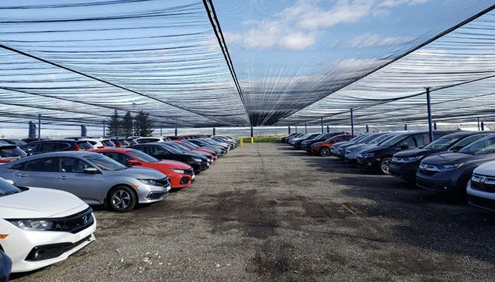 thanuthanusha8's tweet image. Hail Protection Suited for your Business

#business #HailProtection #innovative #WeatherSolve #design #designtechniques #haildamage #livestock #versatiledesign #CustomerService #challenges #CarCover @TycoonStoryCo @tycoonstory2020 
tycoonstory.com/tips/hail-prot…