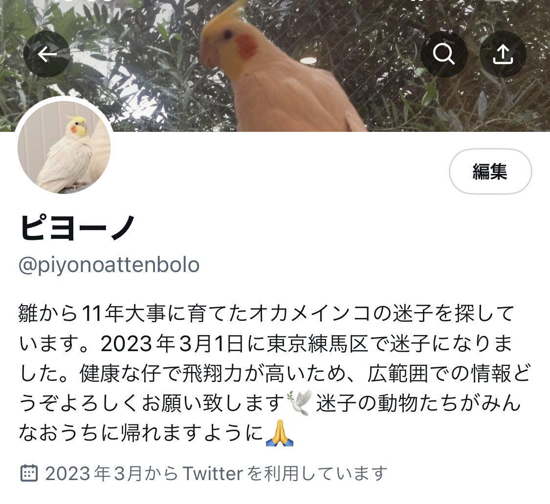 ピヨーノ tweet media