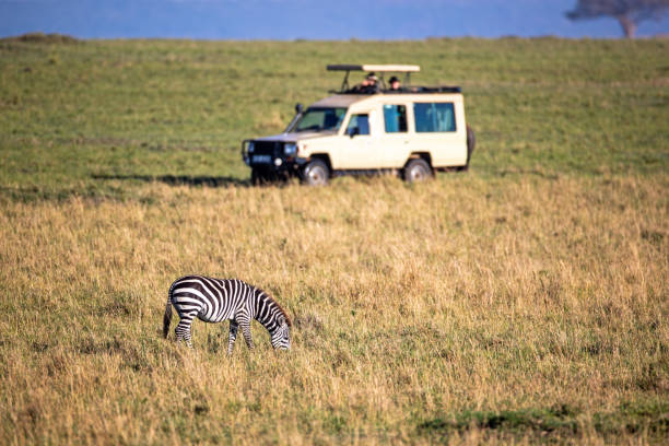 BikotoursC's tweet photo. One of the most thrilling experiences is traveling on a safari owing to the thrill of up-close encounters with creatures and the anticipation of what you'll observe.
Visit: https://t.co/v8cSmmwqtl
#wildlife #Safari #AdventureTime https://t.co/LwNc1QWZym