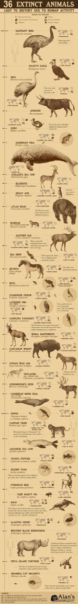 CRCpaleos's tweet photo. EXTINCIONES
36 animales extintos (por causa del hombre)
#Infografía #Extinciones https://t.co/Q9dRjZb4Nj