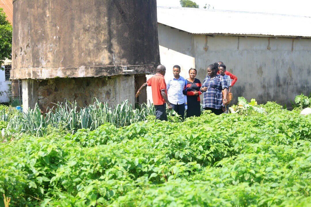SegalFoundation's tweet photo. No slacking off. We are busy in the fight against #malnutrition in #Tanzania with our partner @AgriThamani Foundation.💚 

These are scenes from our site visit a few weeks ago. 💫

#SFFrockstars https://t.co/vjLzOxcJLZ
