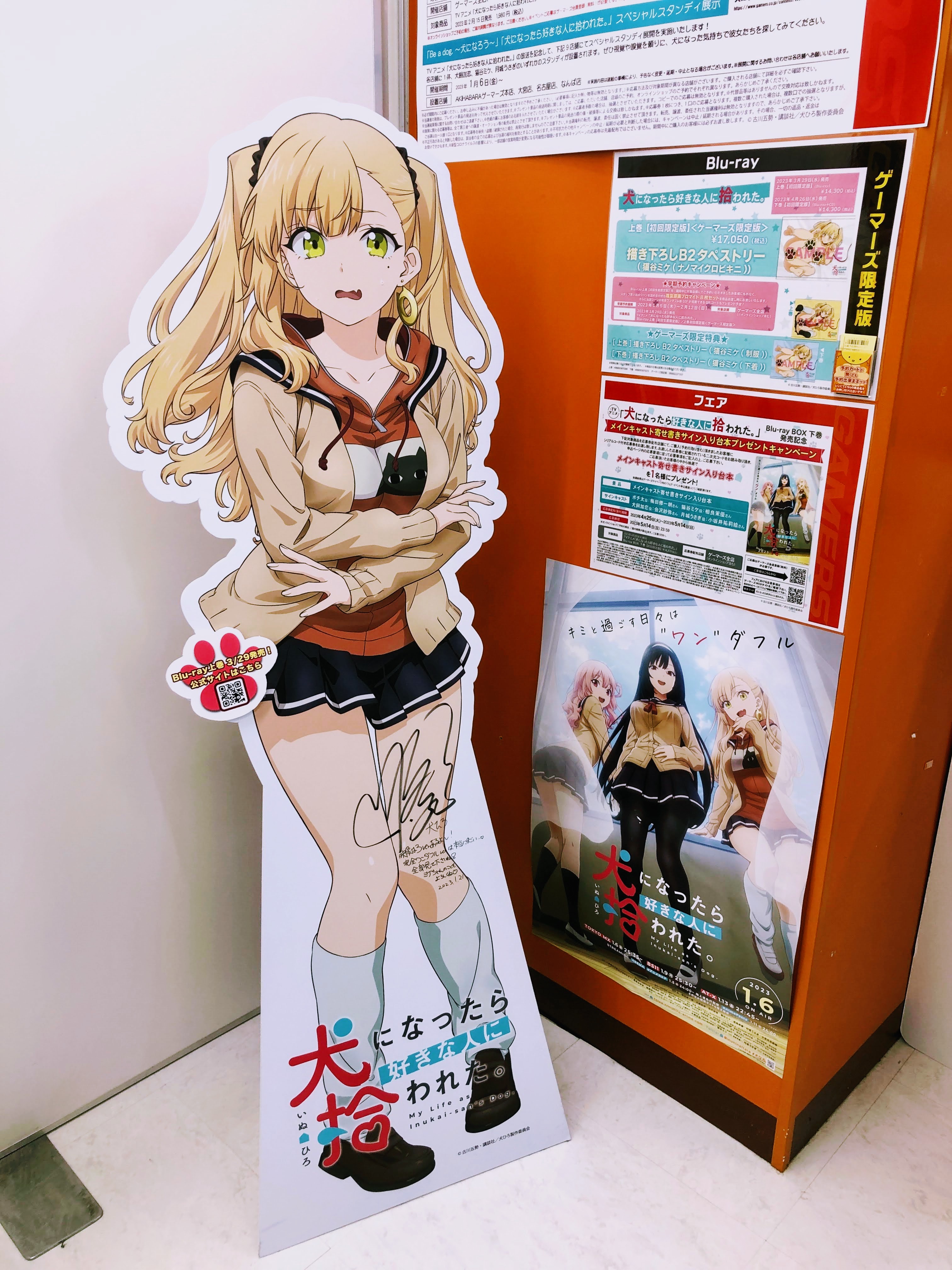 AKIHABARAゲーマーズ本店 on X: AKIHABARAゲーマーズ本店 on X: