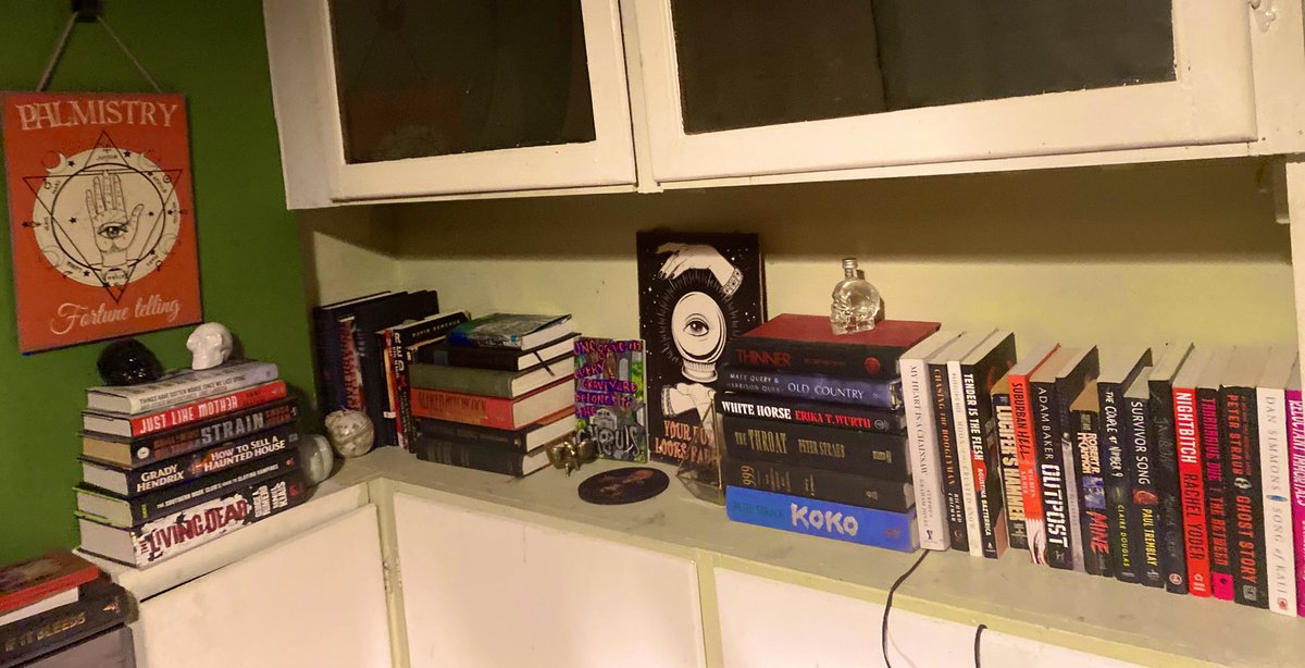 FinalGirlReview's tweet photo. @BumblePuppyPres Thatโsperfectly fine with me, I care more about whatโs on the inside anyways. My shelves welcome books in all shapes and sizes! #BookTwitter #HorrorCollection #HorrorCommunity #teamhardcover #teamsoftcover https://t.co/EClObMhHxB