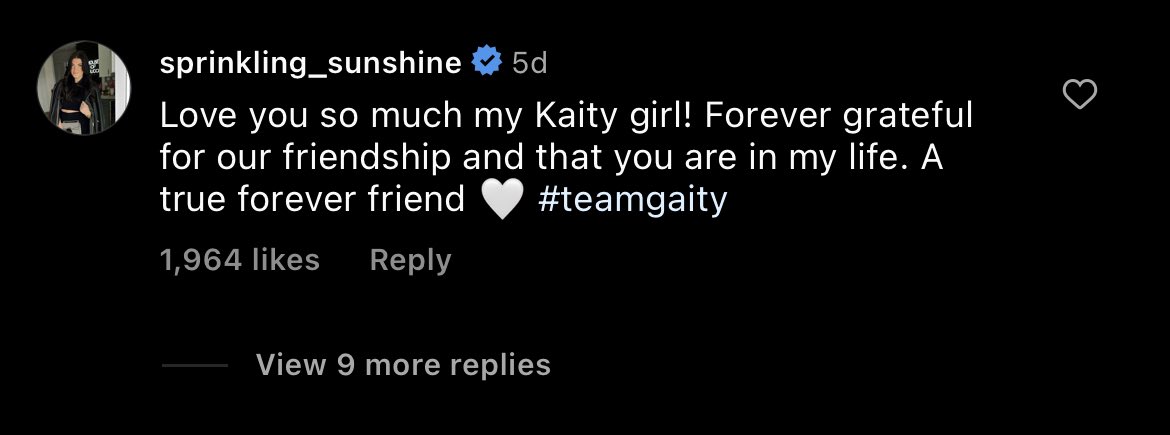 PARANOlALIV's tweet photo. the real endgame we deserved #TheBachelor #gaity https://t.co/rrXCcWGNdF