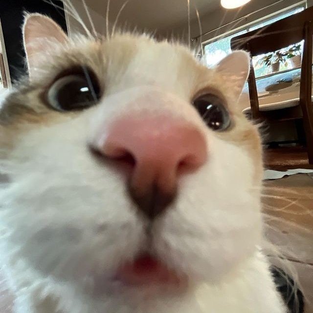 ArthursCleon's tweet photo. #NewProfilePic https://t.co/FV5u1lKT2c