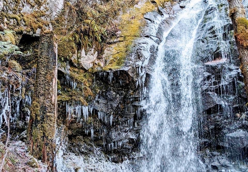 tinykarin's tweet image. January icicles &amp;amp; the stump 
#thicktrunktuesday #waterfall #icicles #nature