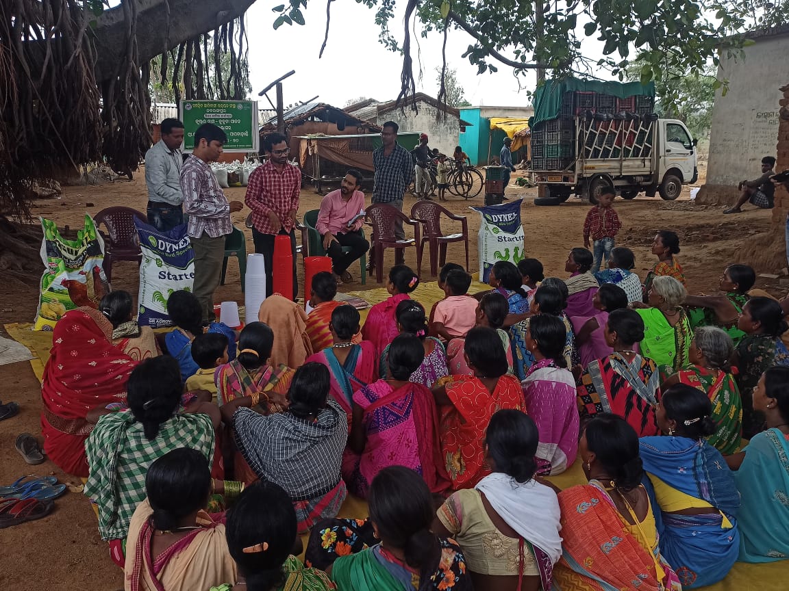 harshatrust's tweet photo. 55 #farmers belonging to 5 #SHGs of #Kantasura village of #Papdahandi block, #Nabarangpur received poultry input support worth Rs. 20,000 and in-depth training on their usage for making #poultryrearing remunerative.
#inputsupport
#ITDA #MissionJeevika #ABF https://t.co/FSjUHFUKIg