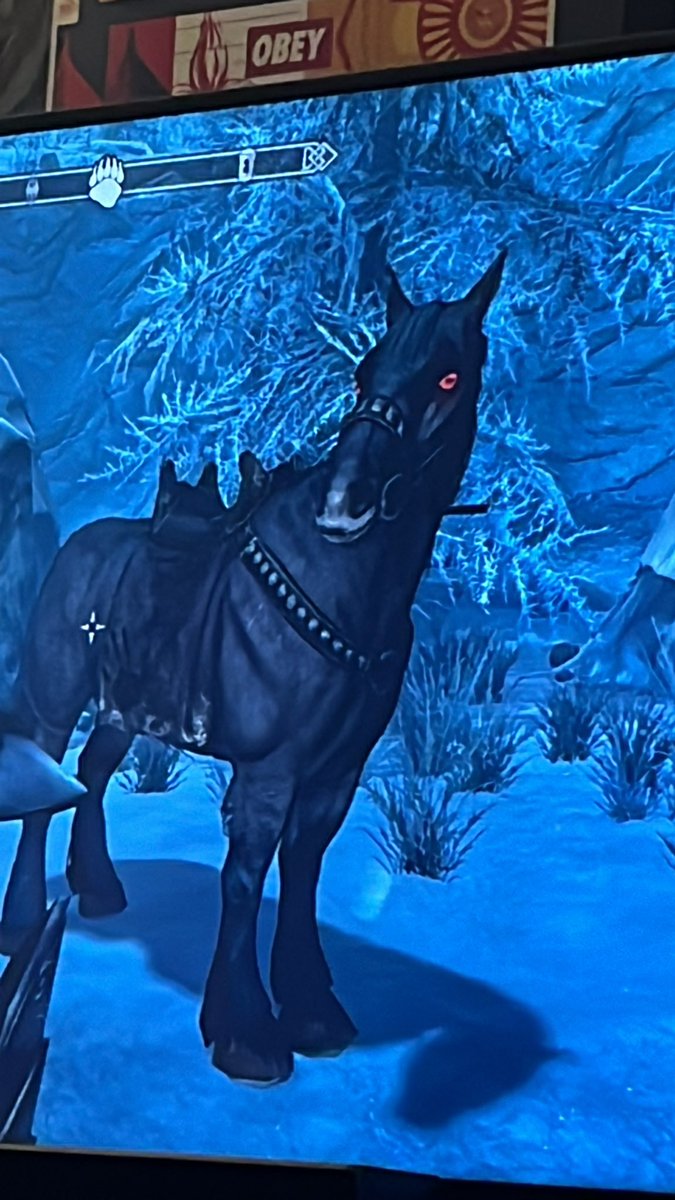 alice_leask's tweet photo. think u can take on horsie? think again. horsie has taken on dragons. u r horsies midday snack, humble urself. https://t.co/M2cB0PqFJ0