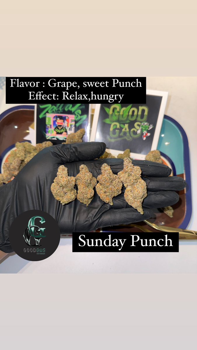 Goodgasth's tweet photo. - Sunday Punch 🍋🍊
- Slurricane#7 🍇🫐
ส่งด่วนกทม แอดเลยมีกลุ่มเช็คเครดิต👇🏻
https://t.co/DfCO449omb
Or 👉 https://t.co/kr3GGg2T41…

#bkkweed #bangkokweed 
#กัญชาออแกนิค #กัญชาog #กัญชาออแกรนิค #420thailand #thaiweed #กัญชานอก #weedimport #กัญชารังสิต https://t.co/HtlT0RPqls
