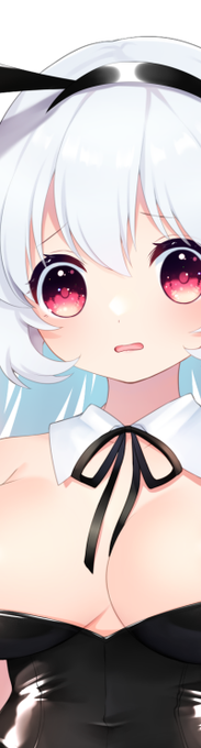 バニーちゃん見せられる部分だけ 