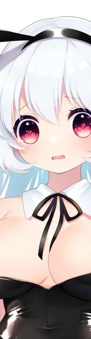 バニーちゃん見せられる部分だけ 