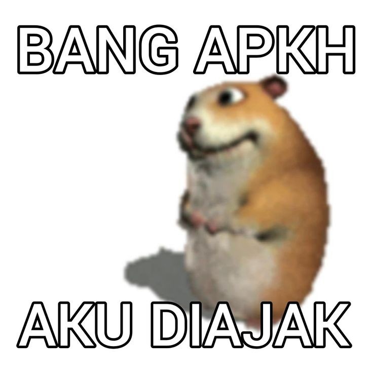 k4ang_haerin's tweet photo. im looking 4 moots! 🦕🦕nerima semua acc, yang suka jbjb merapat. help rt/like yaa
#moots #mutualan https://t.co/oIXrmvttNy