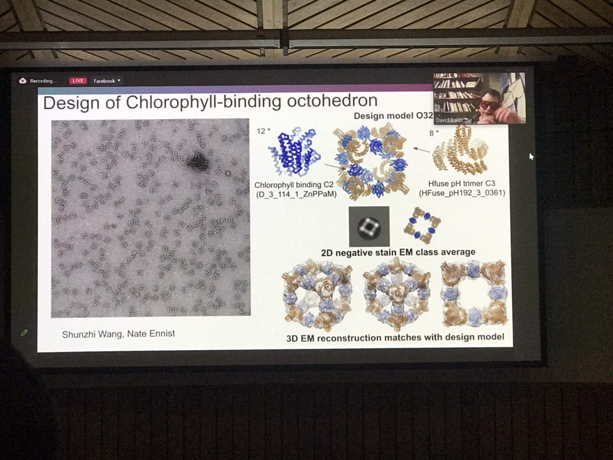 BattyBoffin's tweet image. GNR first gave us the map could that describe every single protein conformation in nature. #IBS2023 commemorates his contribution through the GNR lecture delivered by David Baker. Even 60 years later, the theory to practice of protein design space is just as exciting!