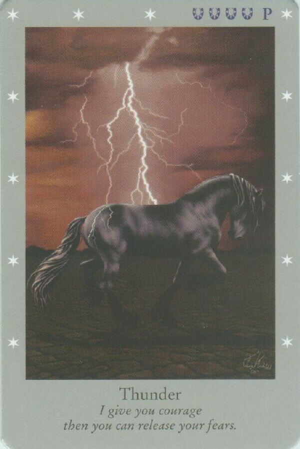 bellasarabot's tweet photo. Series: Danish Silver
Horse: Thunder
Message: I give you courage. Now you can release your fears. https://t.co/XPphyW2P77