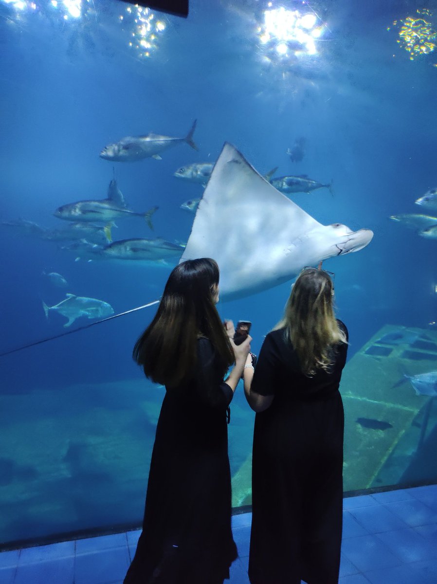 BradwellHannah's tweet image. Great conference yesterday for @GOALDStirPlym with our Scottish colleagues, and brilliant day out with our wonderful participants