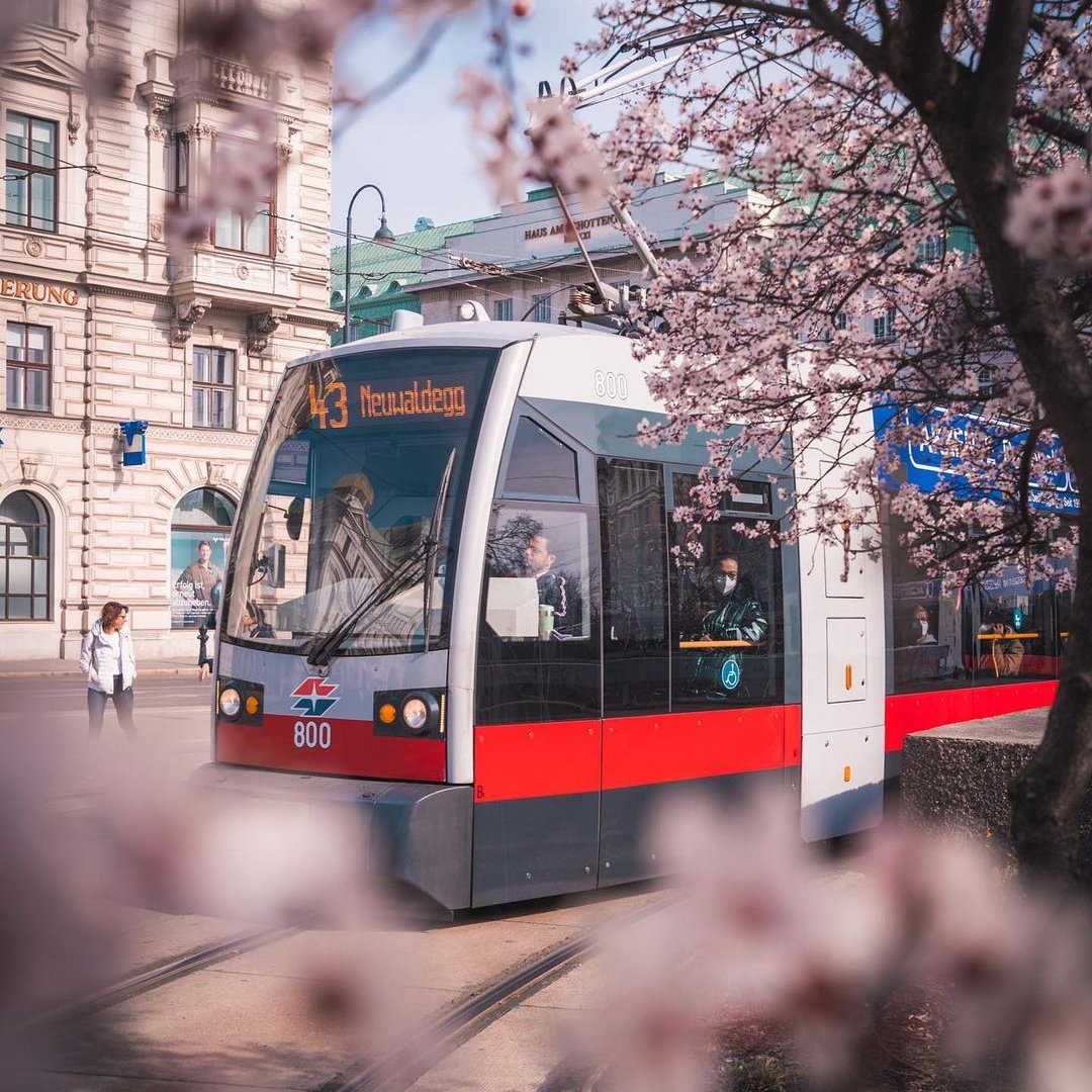 Vienna's public transportation system is world class! Known collectively to locals as the “Öffis”, the <a href="/wienerlinien/">Wiener Linien</a> buses, trams and trains take us all over the capital – safely, quickly and sustainably. 🚆💨 More about Vienna's nifty network: wien.info/en/travel-info… #ViennaNow