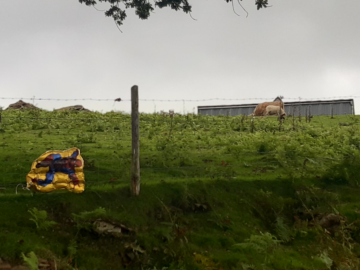 Comin Cydweithredol - Common Connection tweet media