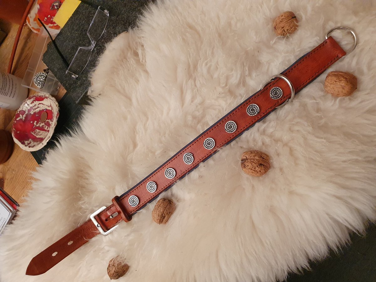 Sisgard17's tweet photo. Nach Wunsch zu arbeiten ist immer eine Herausforderung und eine Freude!
#dogcollier
#Halsband
#Halsung
#Band
#keltisch
#gotisch
#Wikinger
#Vikings https://t.co/zd7VrTbsj9