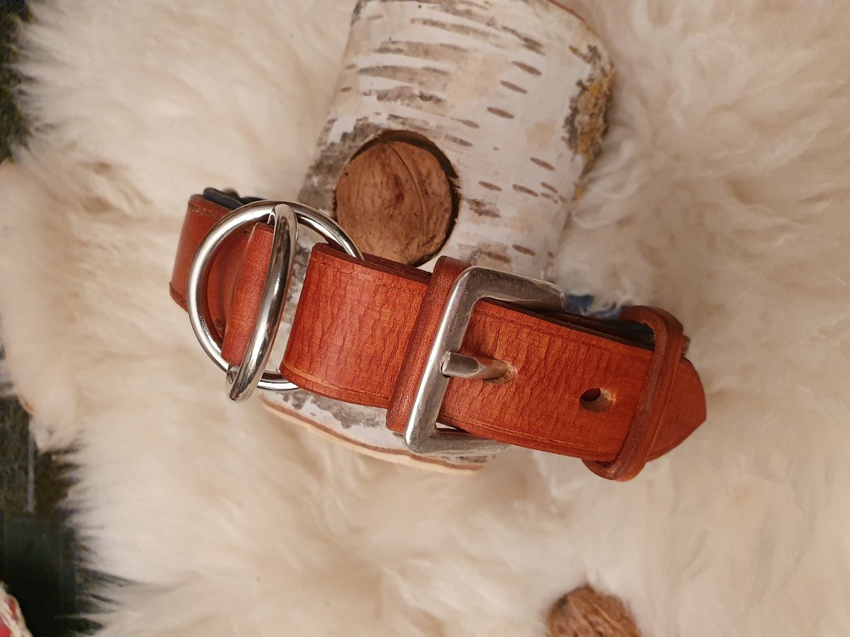 Sisgard17's tweet photo. Nach Wunsch zu arbeiten ist immer eine Herausforderung und eine Freude!
#dogcollier
#Halsband
#Halsung
#Band
#keltisch
#gotisch
#Wikinger
#Vikings https://t.co/zd7VrTbsj9