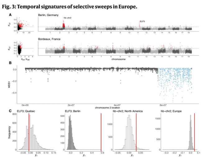Mike Martin tweet media