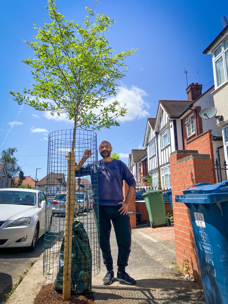 Trees for Streets tweet media