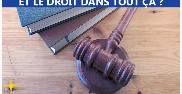 JuristePLE's tweet photo. Point d'étape #PMA à partir des chiffres publiés par le Comité de suivi de la loi de #bioéthique
Chronique 2/2 : les médecins continuent à utiliser les anciens stocks de #gamètes couverts par l'#anonymat.
JPE demande la destruction de ces stocks.
#StopPMA
https://t.co/1eQcgXsA2A https://t.co/aVZPxIORuG